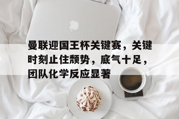 曼联迎国王杯关键赛，关键时刻止住颓势，底气十足，团队化学反应显著的简单介绍-kaiyun